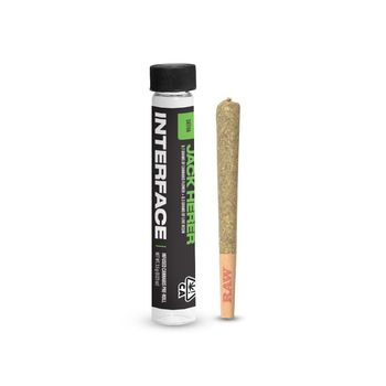 Interface Infused Pre-roll - Jack Herer 1G