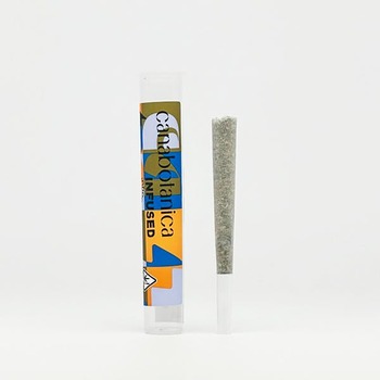GMO Ice Water Hash Infused - First Class Funk 1g PreRoll